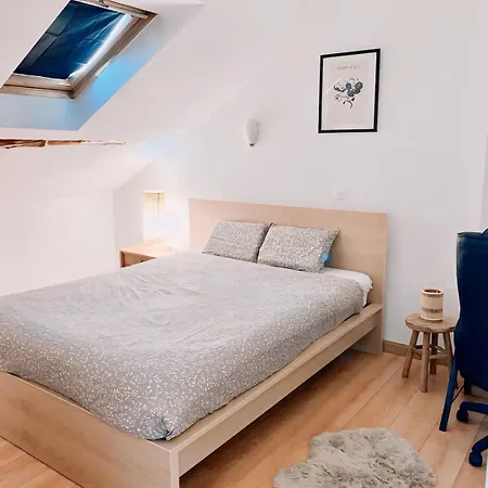 Large Duplex Near Luxembourg *