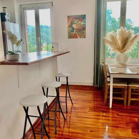 Apartment Large Duplex Near Luxembourg Longwy